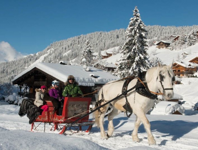  Trenó na neve 